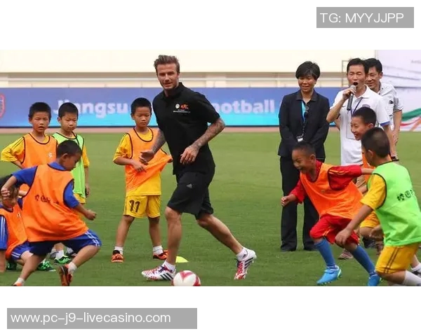 足球员的成长之路：从青训营到职业赛场的奋斗与荣耀